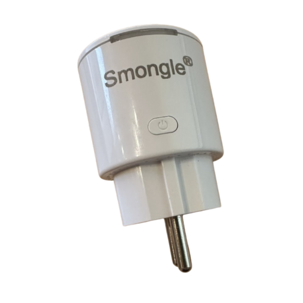 Plug